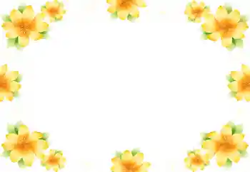 Foto effect van de categorie Fotolijsten voor vrouwen № 9892
