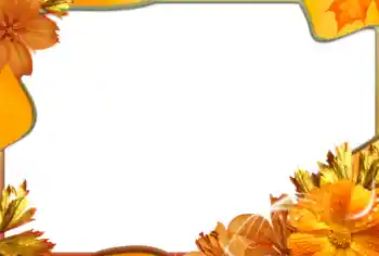 Foto effect van de categorie Fotolijsten voor vrouwen № 99971